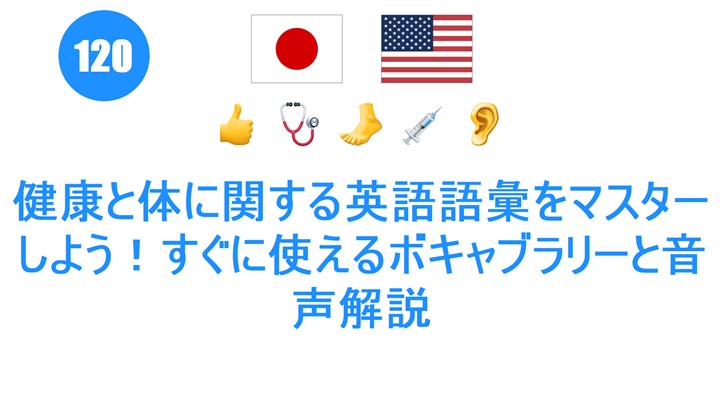 健康と体に関する英語語彙をマスターしよう！すぐに使えるボキャブラリーと音声解説